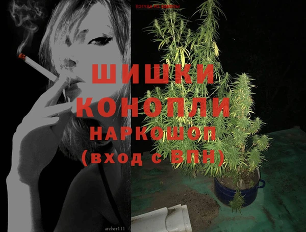 гашик Кинешма