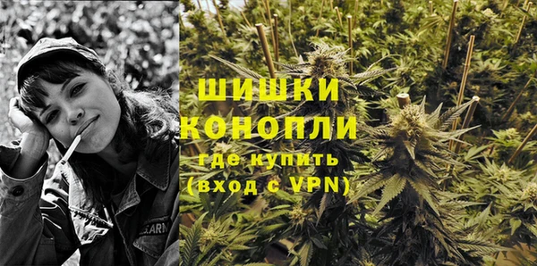 трава Абаза